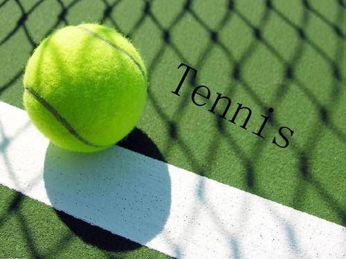 快船队在这 快船队在这